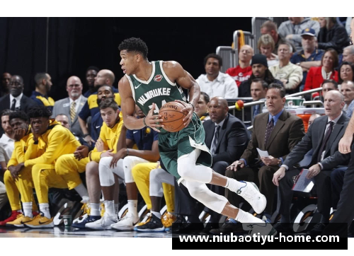 NBA投资攻略：如何在篮球联盟中获得长期稳定的回报