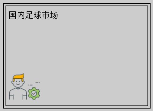 国内足球市场
