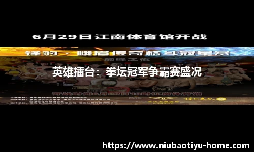 英雄擂台：拳坛冠军争霸赛盛况